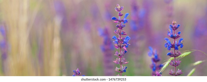 Nature background - banner - web header template - website simple design