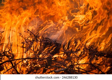 Nature Background Bright Fire On Wood Stock Photo 246288130 | Shutterstock