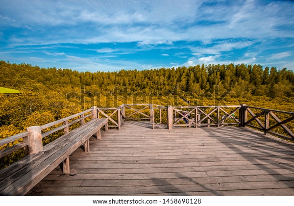 pretty nature backgrounds with bridges