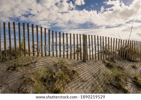 slats Environment Nature