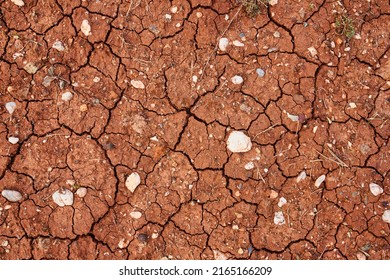 Nature Background Of Cracked Dry Lands. Natural Texture Of Soil With Cracks. Broken Clay Surface Of Barren Dryland Wasteland Close-up. Full Frame To Terrain With Arid Climate. Lifeless Desert On Earth