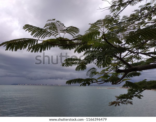 Nature Background Hd Stock Photo 1166396479 | Shutterstock