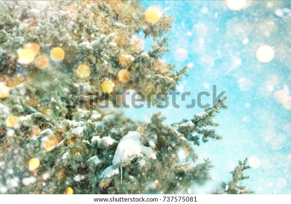 Download Nature Background Lighten Bokeh Christmas Background Stock Photo Edit Now 737575081 PSD Mockup Templates