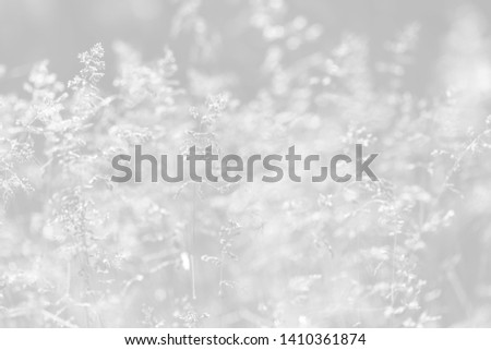 Similar – Foto Bild Schnee und Eis Landschaft