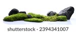 Nature background of stones and moss isolated on white