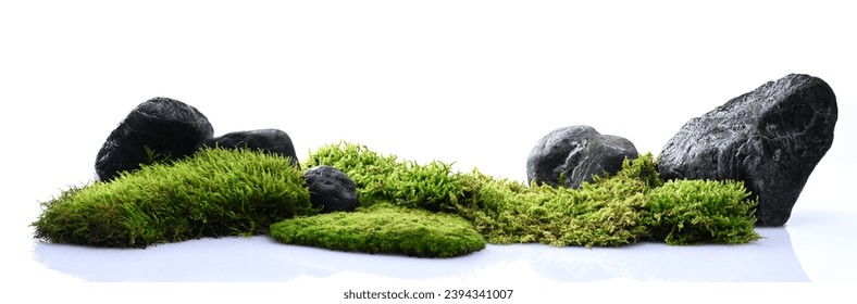 Nature background of stones and moss isolated on white