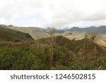 Nature backgrounds /Dramatic clouds with mountain and tree     :  mountain and forest  in  Luang  Prabang,  Laos