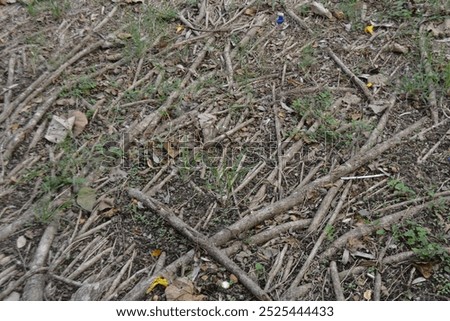 Nature beackground with some tree roots on the ground with some flowers