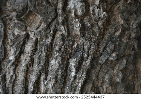 Nature beackground with some tree roots on the ground with some flowers