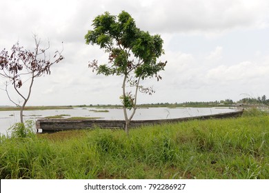 Nature in Benin at the lake