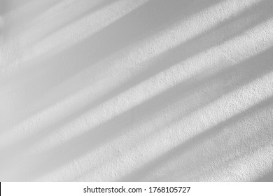 Nature black shadow and light abstract background. Leaf and tree diagonally shadows bokeh with sunlight on white concrete wall texture for wallpaper, backdrop and any design