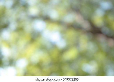 Nature Blur Background With Charge Coupled Device CCD Camera Minimal Computer Software Processed