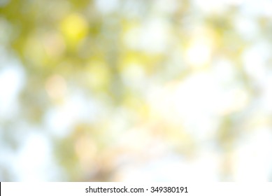 Nature Blur Background With Charge Coupled Device CCD Camera Minimal Computer Software Processed