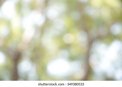 Nature Blur Background With Charge Coupled Device CCD Camera Minimal Computer Software Processed