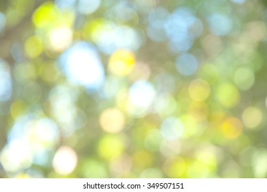 Nature Blur Background With Charge Coupled Device CCD Camera Minimal Computer Software Processed