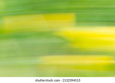 Nature Blur Green Bokeh Wallpaper. Spring Time Abstract Blur Green Color Background With Sunlight.