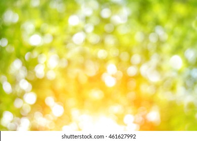 nature blur greenery bokeh leaf wallpaper; spring   autumn park background; Soft focus light view leaves flare medical rays abstract pastel tree foliage forest landscape gradient white   yellow