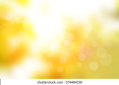 Nature blur greenery bokeh leaf wallpaper. spring and autumn park background; Soft focus light on view leaves flare medical rays abstract pastel tree foliage forest landscape gradient white and yellow