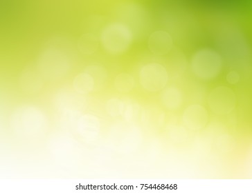 Nature Blur Greenery Bokeh Leaf Wallpaper. Spring And Autumn Park Background; Soft Focus Light On View Leaves Flare Rays Abstract Pastel Tree Foliage Forest Landscape. 