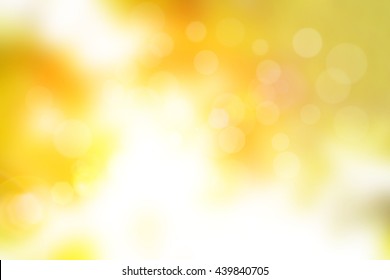 Nature blur greenery leaf bokeh wallpaper. spring and autumn park background; Soft focus light on view leaves flare rays abstract pastel tree foliage forest landscape.