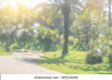 Nature Blurred Background. Green Tree In A Park With Light Bokeh And Sunlight. Natural Trees, Lawn And Walkway In Outdoor Garden. Abstract Blur Nature Landscape Green Environment Concept
