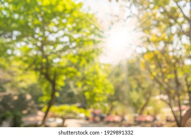 261,633 Blurry Trees Images, Stock Photos & Vectors | Shutterstock