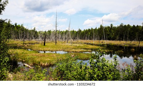 Nature Bound Photography (Eric Fabian)