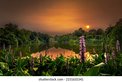 The Nature By The Cherokee Lake At Sunset