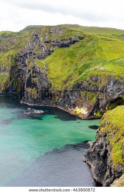 Nature of Carrick-a-Rede, Causeway Coast Route,\
National Trust. Northern\
Ireland