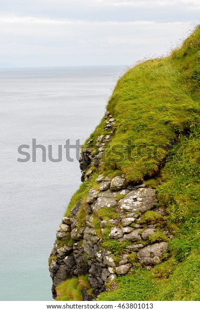Nature of Carrick-a-Rede, Causeway Coast Route,\
National Trust. Northern\
Ireland