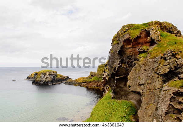 Nature of Carrick-a-Rede, Causeway Coast Route,
National Trust. Northern
Ireland