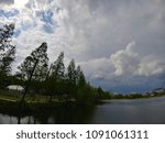 nature cloud tree