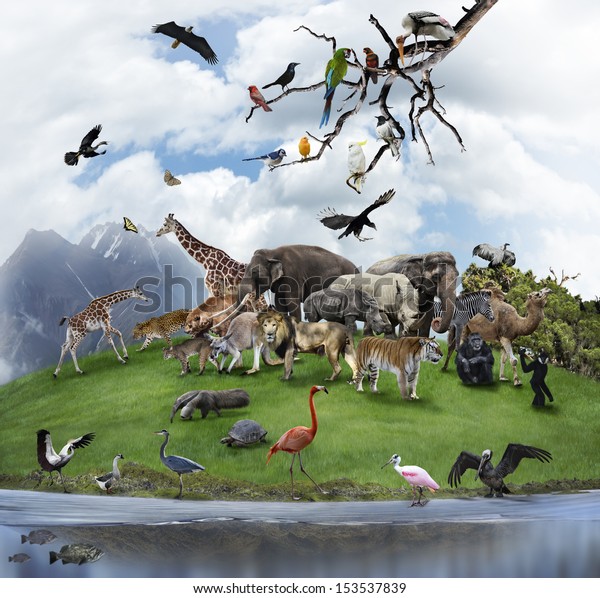 Nature Collage With
 Wild Animals And Birds 