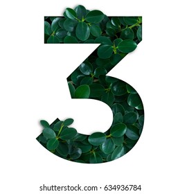 Nature concept alphabet of green leaves in number three shape - Shutterstock ID 634936784