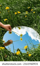 nature concept - hand with dandelion touching sky reflection in round mirror on summer field - Shutterstock ID 2161960931