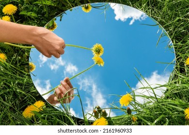 nature concept - hand with dandelion touching sky reflection in round mirror on summer field - Shutterstock ID 2161960933