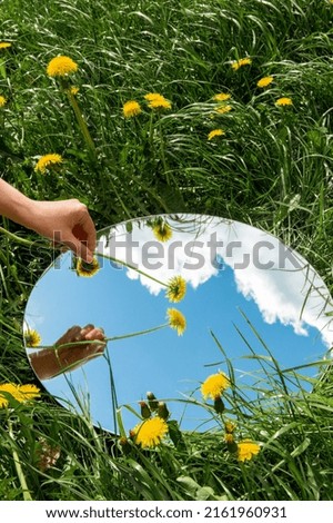 Similar – dandelion Nature Plant