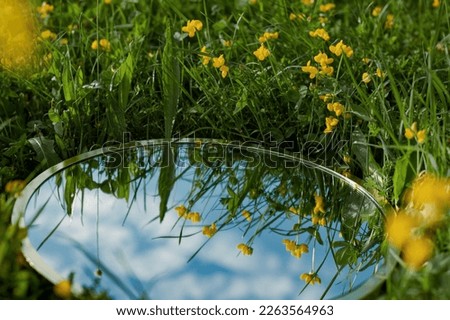 Nature concept - sky and clouds reflection in round mirror in the grass with flowers. Mirror lies on the summer field, close up. Template