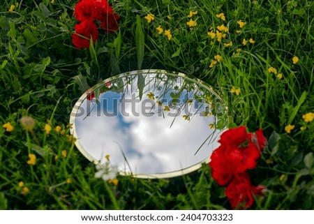 Nature concept - sky and clouds reflection in round mirror in the grass with red flowers. Mirror lies on the summer field, close up. Template, mock up