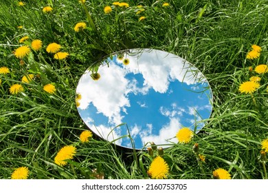 nature concept - sky reflection in round mirror on summer field with dandelion flowers - Shutterstock ID 2160753705