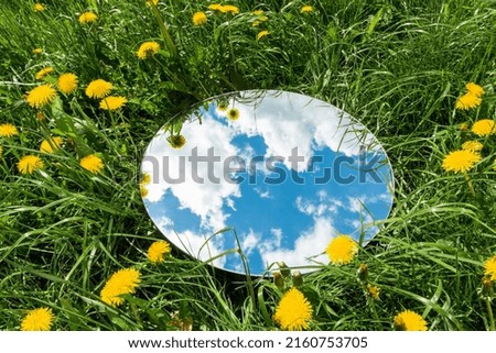 nature concept - sky reflection in round mirror on summer field with dandelion flowers