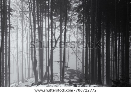 Image, Stock Photo atmospheric picture