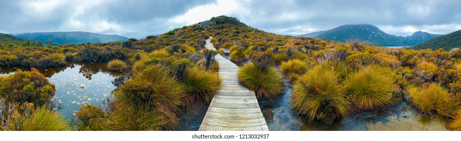 The Nature In Cradle Mountain–Lake St Clair National Park