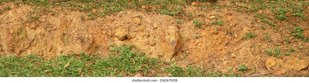 Nature Cross Section Soil Underground Green Stock Photo (Edit Now ...