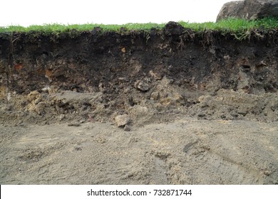 Nature Cross Section Soil Underground With Green Grass, Cutaway Earth Ground Terrain Surface