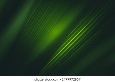 Nature of dark green leaf in garden. Natural green leaves plants using  background cover page environment ecology or greenery wallpaper - Powered by Shutterstock