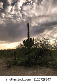 Nature - Dramatic Cloudy Sky, and Silhouette Of a Saguaro Cactus