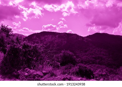 Nature elements of pink colored texture. Background for designers