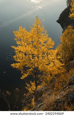 nature at the end of the golden autumn