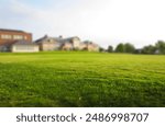 nature, environment, green, grass, forest, tree, leaf, summer, plant, background, copy space, beauty, landscape, travel, river, panoramic view, summer day, outdoor, grassland, peak, hiking, 